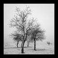 prisavska magl&hellip;