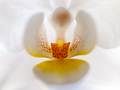 za dame :* (u &hellip;