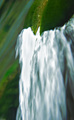 "in"&hellip;