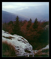 Lika (glava u &hellip;
