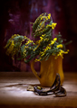 ocvale mimoze &hellip;