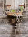 detalj s voden&hellip;