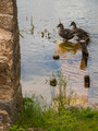 potopljena pat&hellip;
