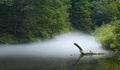 Nessie u Kamač&hellip;