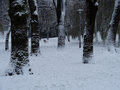 Zima... i jedn&hellip;