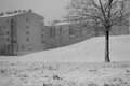 Drugi snijeg u&hellip;