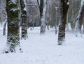 Zima... i jedn&hellip;