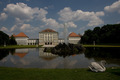DVORAC NYMPHEN&hellip;