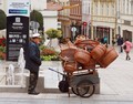 Prodavač košar&hellip;