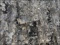 Courtine St* A&hellip;