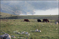 Pogled prema S&hellip;