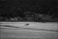 Traktor