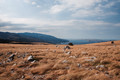 Pogled s Veleb&hellip;
