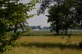  CHIEMSEE -  S&hellip;