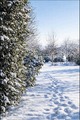 Umirujuća bjel&hellip;