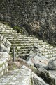 THE WALL, STAI&hellip;
