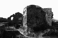 Rusevine stare&hellip;