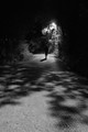 Kasna nocna - &hellip;
