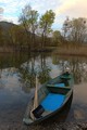 Mirnoca predve&hellip;