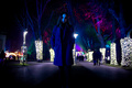 Dark Advent Mo&hellip;