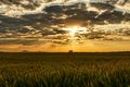 SUNSET KRUPNI &hellip;