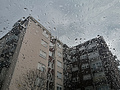 Rain drops on &hellip;