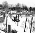 Gradski vrtovi&hellip;