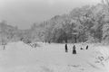 Srebrenka