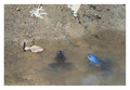 united colors &hellip;