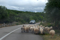 pazi BeeeeeeeM&hellip;