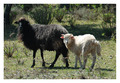 crno-bijelo u &hellip;