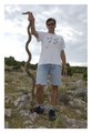 u strahu su ve&hellip;