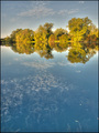 Refleksijastas&hellip;
