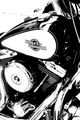 Harley III
