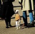 Walk