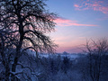 zimsko jutro s&hellip;