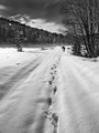 tragovima foto&hellip;