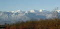 Velebitski vis&hellip;