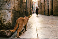 Dubrovnik je m&hellip;