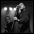 gang of four (&hellip;