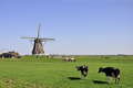 Aarlanderveen,&hellip;