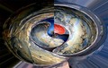 yin-yang novog&hellip;
