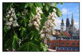 Strossmayerovo&hellip;