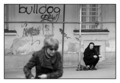 Kaptol, Bulldo&hellip;
