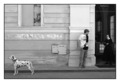 Kaptol, crno b&hellip;