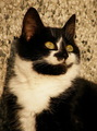 Pogled prema s&hellip;