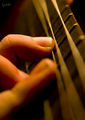 Fingers of mus&hellip;