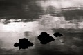 'punti na&hellip;