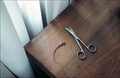 i shaved every&hellip;