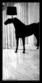 Black Horse Ar&hellip;